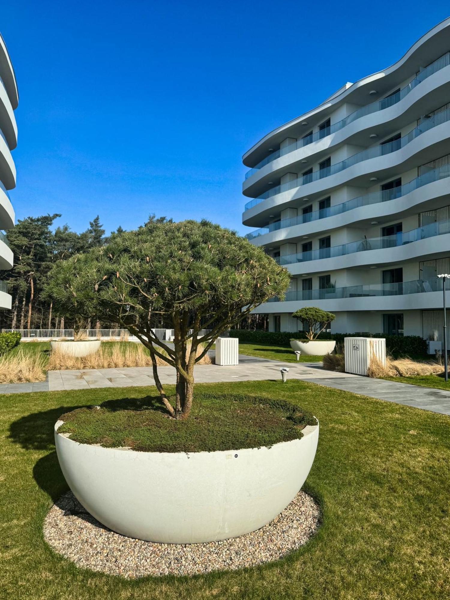 Rogowo Pearl Apartamenty Eksteriør billede